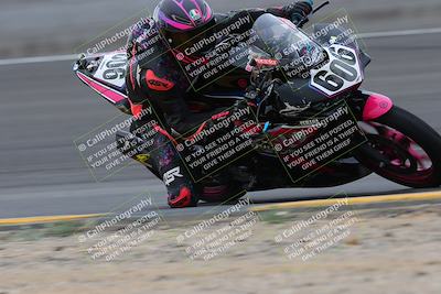 media/Jan-14-2023-SoCal Trackdays (Sat) [[497694156f]]/Turn 11 Inside (950am)/